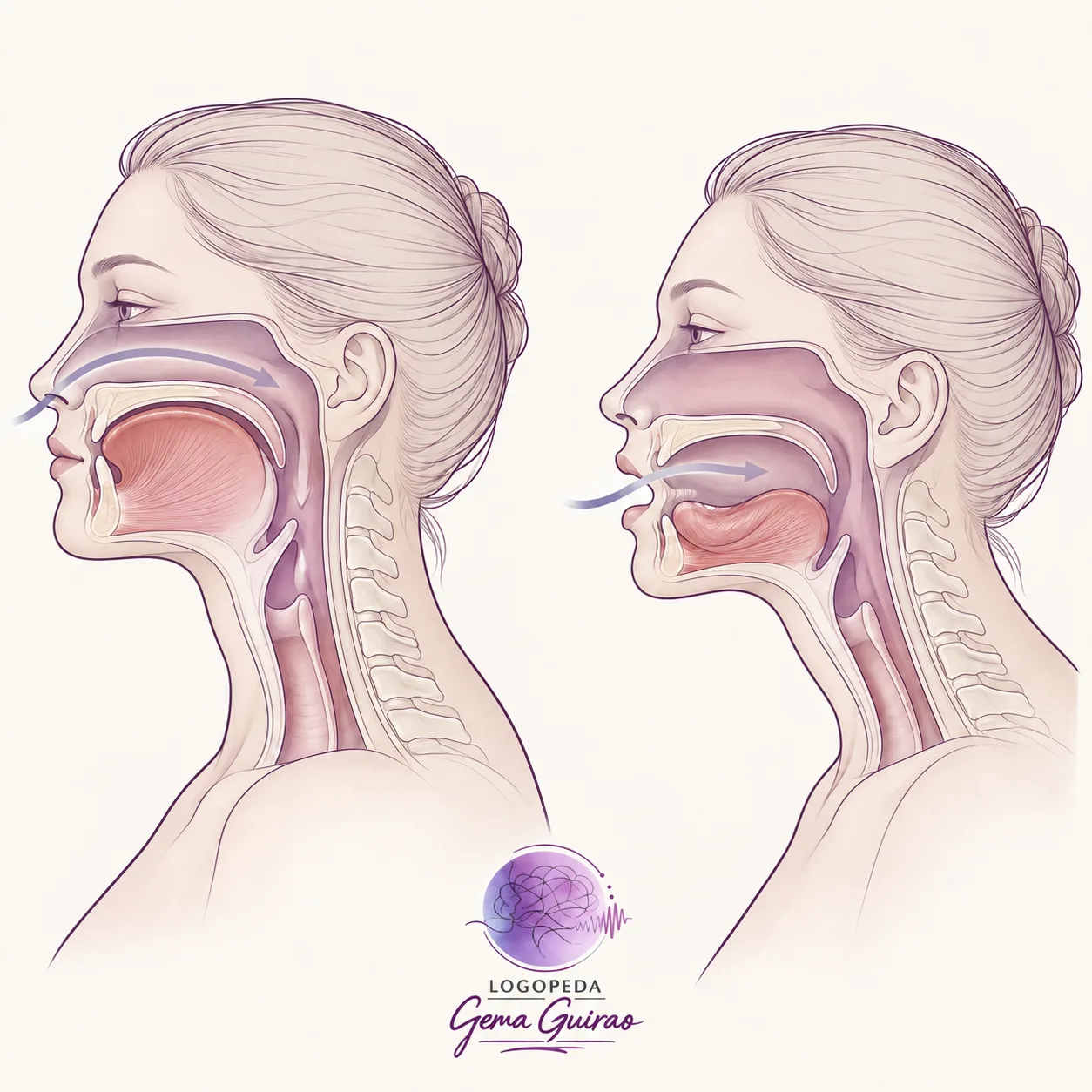 ¿Dormir con la boca abierta cambia tu rostro? La neurociencia y biomecánica de la respiración oral